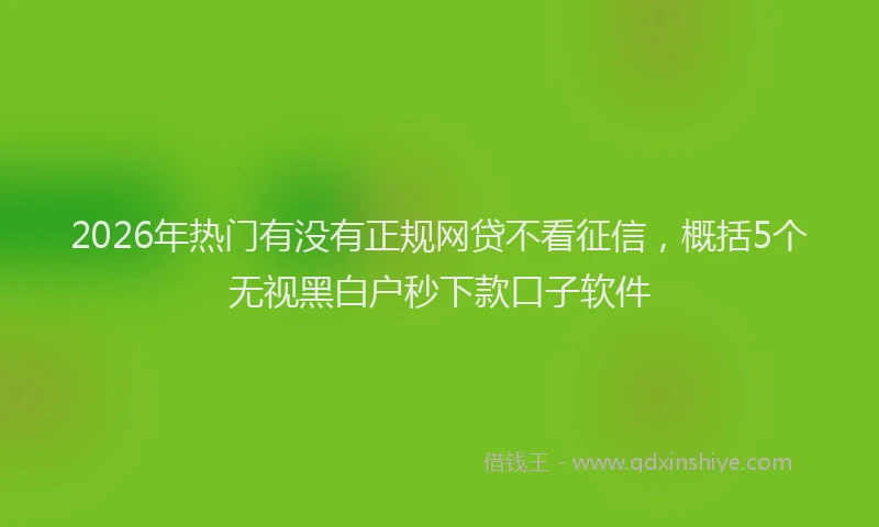 2026年热门有没有正规网贷不看征信，概括5个无视黑白户秒下款口子软件