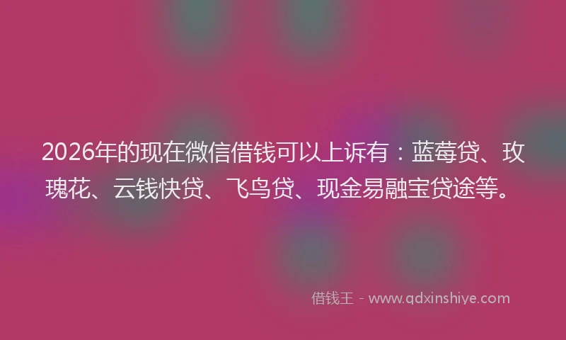 2026年的现在微信借钱可以上诉有：蓝莓贷、玫瑰花、云钱快贷、飞鸟贷、现金易融宝贷途等。