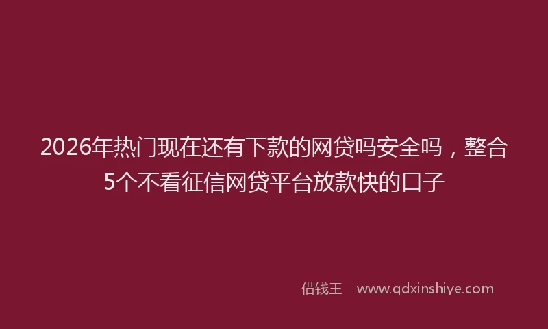 2026年热门现在还有下款的网贷吗安全吗，整合5个不看征信网贷平台放款快的口子