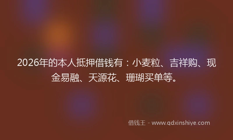 2026年的本人抵押借钱有：小麦粒、吉祥购、现金易融、天源花、珊瑚买单等。
