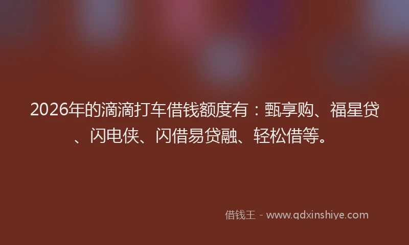 2026年的滴滴打车借钱额度有：甄享购、福星贷、闪电侠、闪借易贷融、轻松借等。