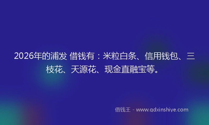 2026年的浦发 借钱有：米粒白条、信用钱包、三枝花、天源花、现金直融宝等。