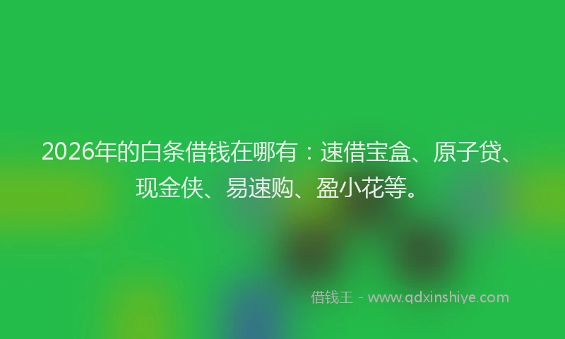 2026年的白条借钱在哪有：速借宝盒、原子贷、现金侠、易速购、盈小花等。
