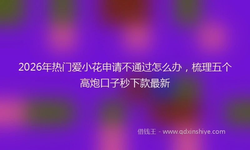 2026年热门爱小花申请不通过怎么办，梳理五个高炮口子秒下款最新