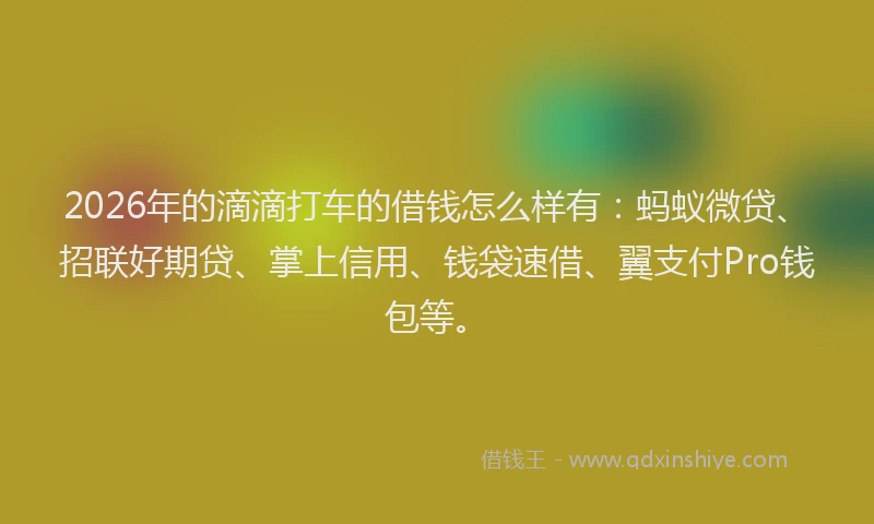 2026年的滴滴打车的借钱怎么样有：蚂蚁微贷、招联好期贷、掌上信用、钱袋速借、翼支付Pro钱包等。