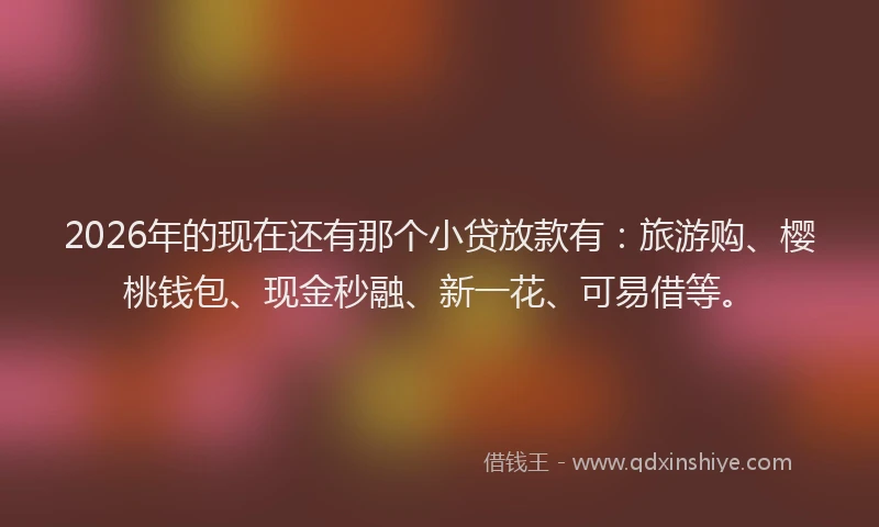 2026年的现在还有那个小贷放款有:旅游购、樱桃钱包、现金秒融、新一花、可易借等。