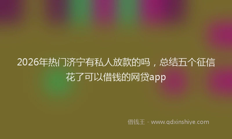 2026年热门济宁有私人放款的吗，总结五个征信花了可以借钱的网贷app