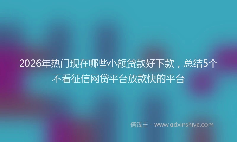 2026年热门现在哪些小额贷款好下款，总结5个不看征信网贷平台放款快的平台