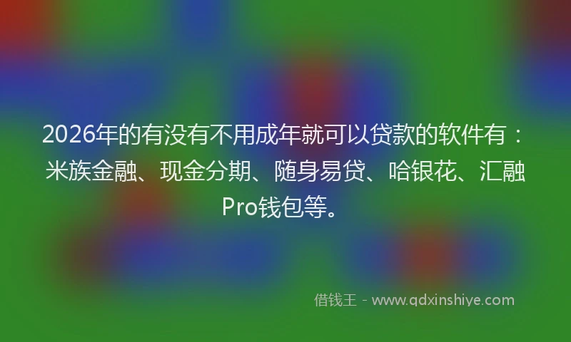 2026年的有没有不用成年就可以贷款的软件有：米族金融、现金分期、随身易贷、哈银花、汇融Pro钱包等。