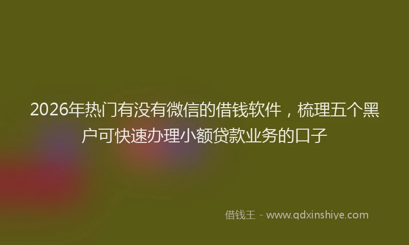 2026年热门有没有微信的借钱软件，梳理五个黑户可快速办理小额贷款业务的口子