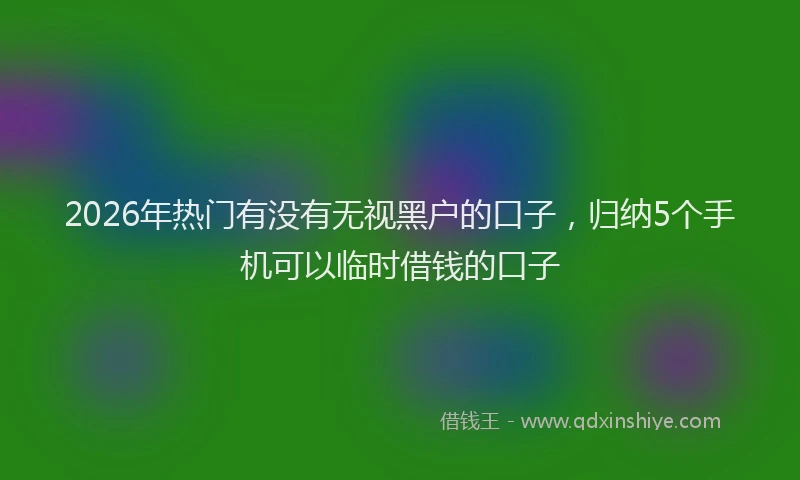 2026年热门有没有无视黑户的口子，归纳5个手机可以临时借钱的口子