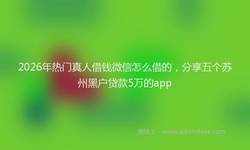 2026年热门真人借钱微信怎么借的，分享五个苏州黑户贷款5万的app