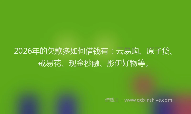 2026年的欠款多如何借钱有：云易购、原子贷、戒易花、现金秒融、彤伊好物等。