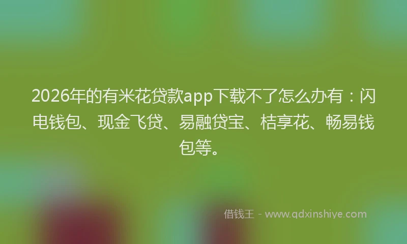 2026年的有米花贷款app下载不了怎么办有：闪电钱包、现金飞贷、易融贷宝、桔享花、畅易钱包等。