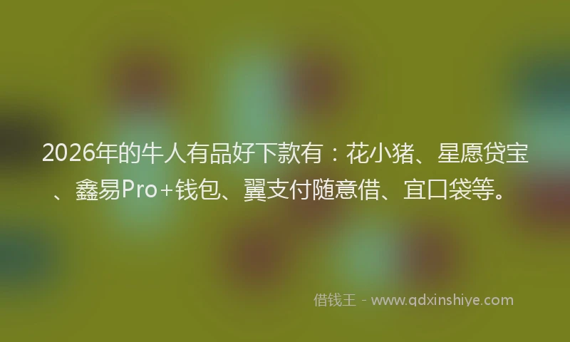 2026年的牛人有品好下款有：花小猪、星愿贷宝、鑫易Pro+钱包、翼支付随意借、宜口袋等。