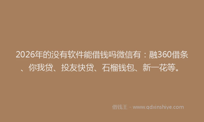 2026年的没有软件能借钱吗微信有：融360借条、你我贷、投友快贷、石榴钱包、新一花等。
