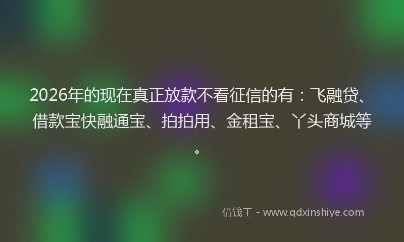 2026年的现在真正放款不看征信的有：飞融贷、借款宝快融通宝、拍拍用、金租宝、丫头商城等。