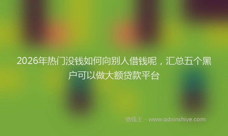 2026年热门没钱如何向别人借钱呢，汇总五个黑户可以做大额贷款平台