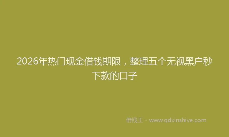2026年热门现金借钱期限，整理五个无视黑户秒下款的口子