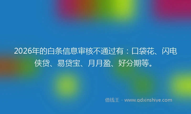 2026年的白条信息审核不通过有：口袋花、闪电侠贷、易贷宝、月月盈、好分期等。