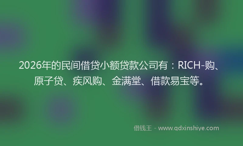 2026年的民间借贷小额贷款公司有：RICH-购、原子贷、疾风购、金满堂、借款易宝等。