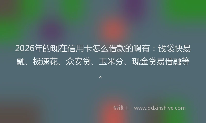 2026年的现在信用卡怎么借款的啊有：钱袋快易融、极速花、众安贷、玉米分、现金贷易借融等。