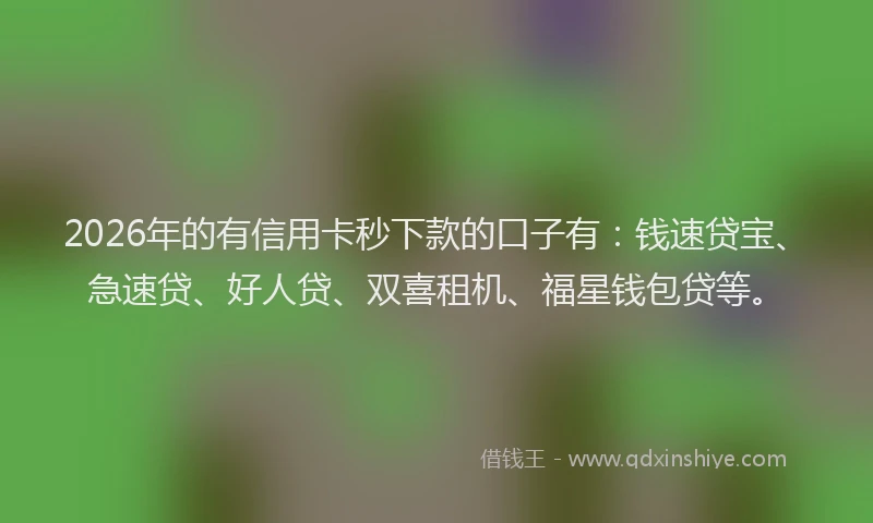 2026年的有信用卡秒下款的口子有:钱速贷宝、急速贷、好人贷、双喜租机、福星钱包贷等。