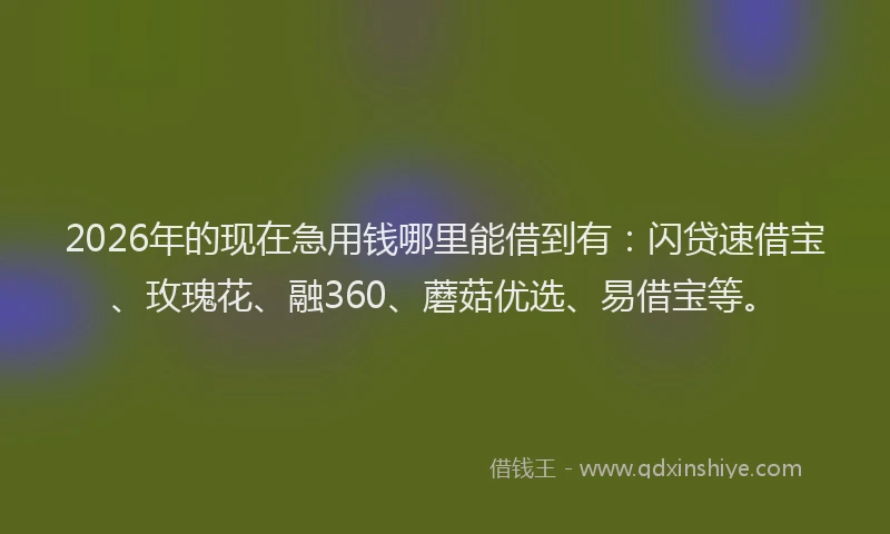 2026年的现在急用钱哪里能借到有：闪贷速借宝、玫瑰花、融360、蘑菇优选、易借宝等。