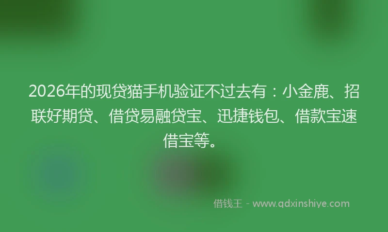 2026年的现贷猫手机验证不过去有：小金鹿、招联好期贷、借贷易融贷宝、迅捷钱包、借款宝速借宝等。