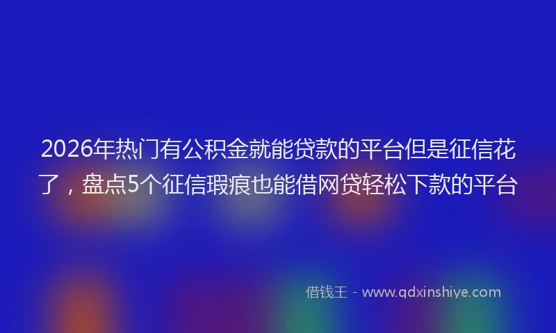 2026年热门有公积金就能贷款的平台但是征信花了，盘点5个征信瑕疵也能借网贷轻松下款的平台