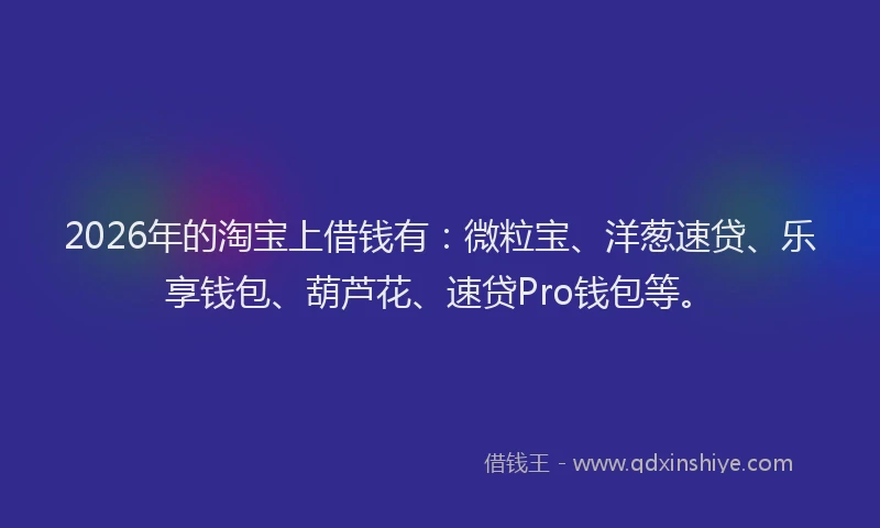 2026年的淘宝上借钱有：微粒宝、洋葱速贷、乐享钱包、葫芦花、速贷Pro钱包等。