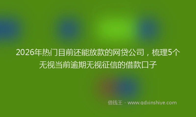 2026年热门目前还能放款的网贷公司，梳理5个无视当前逾期无视征信的借款口子