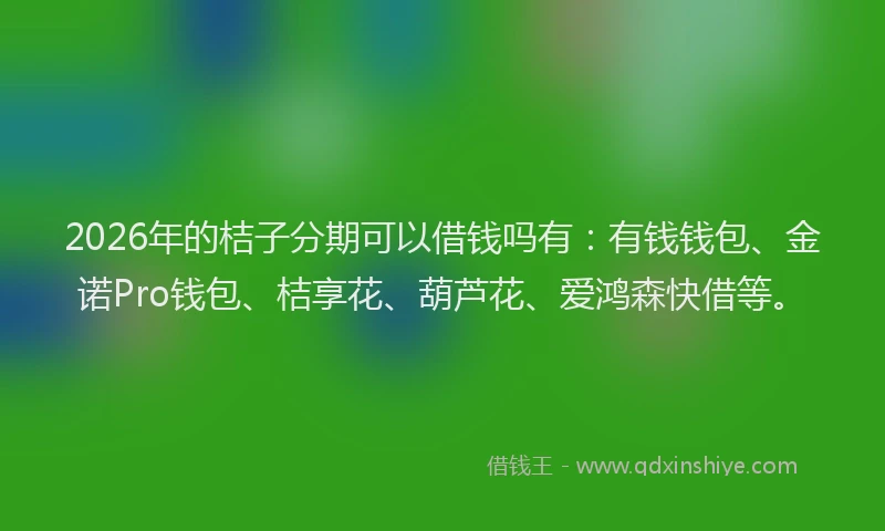 2026年的桔子分期可以借钱吗有：有钱钱包、金诺Pro钱包、桔享花、葫芦花、爱鸿森快借等。
