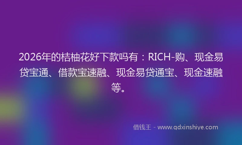 2026年的桔柚花好下款吗有：RICH-购、现金易贷宝通、借款宝速融、现金易贷通宝、现金速融等。
