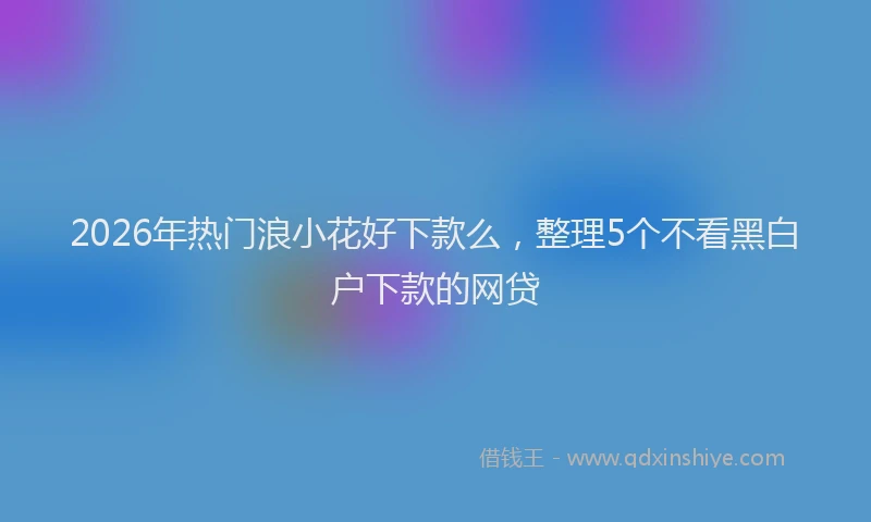 2026年热门浪小花好下款么，整理5个不看黑白户下款的网贷