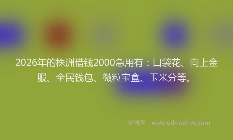 2026年的株洲借钱2000急用有:口袋花、向上金服、全民钱包、微粒宝盒、玉米分等。