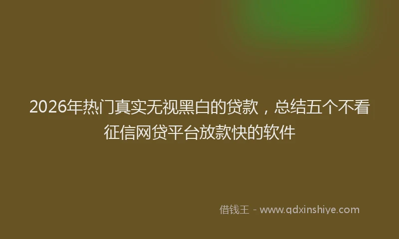 2026年热门真实无视黑白的贷款，总结五个不看征信网贷平台放款快的软件