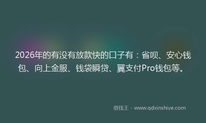 2026年的有没有放款快的口子有：省呗、安心钱包、向上金服、钱袋瞬贷、翼支付Pro钱包等。