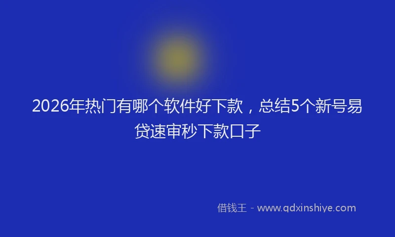 2026年热门有哪个软件好下款，总结5个新号易贷速审秒下款口子