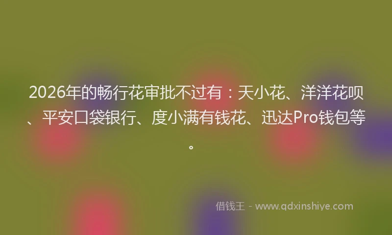 2026年的畅行花审批不过有：天小花、洋洋花呗、平安口袋银行、度小满有钱花、迅达Pro钱包等。