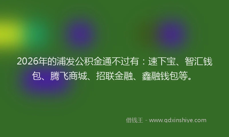 2026年的浦发公积金通不过有：速下宝、智汇钱包、腾飞商城、招联金融、鑫融钱包等。