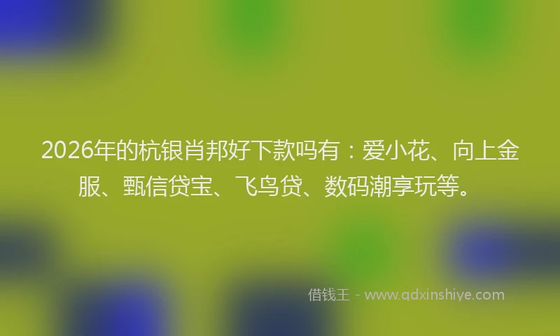 2026年的杭银肖邦好下款吗有：爱小花、向上金服、甄信贷宝、飞鸟贷、数码潮享玩等。