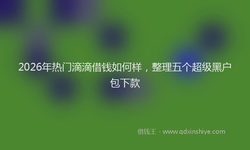 2026年热门滴滴借钱如何样，整理五个超级黑户包下款