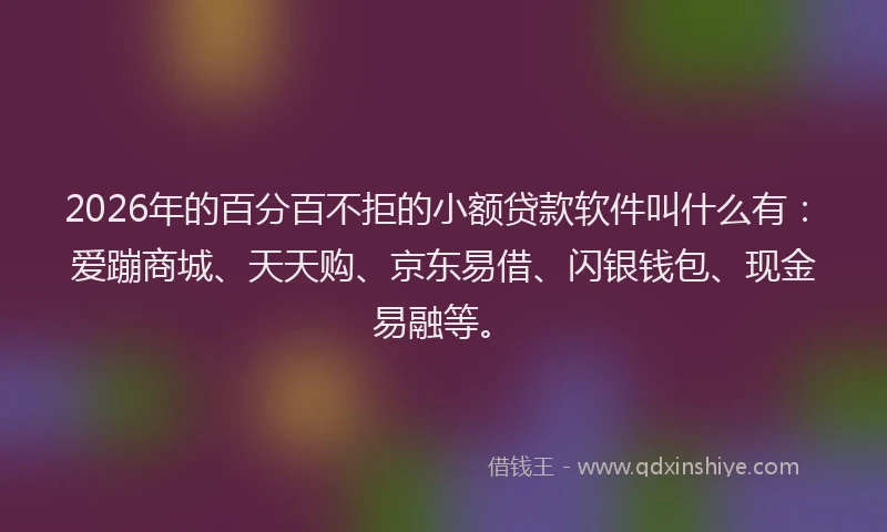 2026年的百分百不拒的小额贷款软件叫什么有：爱蹦商城、天天购、京东易借、闪银钱包、现金易融等。