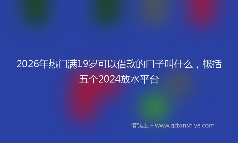 2026年热门满19岁可以借款的口子叫什么，概括五个2024放水平台