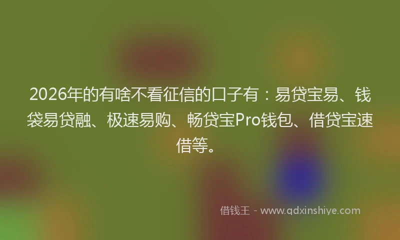 2026年的有啥不看征信的口子有：易贷宝易、钱袋易贷融、极速易购、畅贷宝Pro钱包、借贷宝速借等。