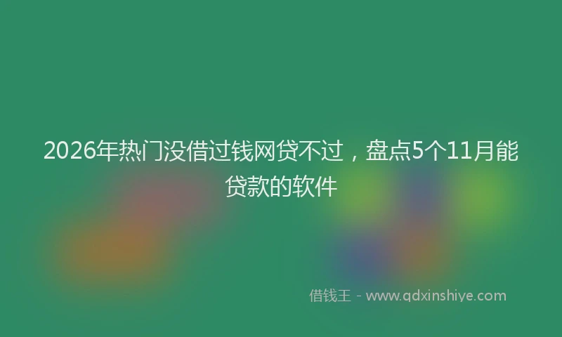 2026年热门没借过钱网贷不过，盘点5个11月能贷款的软件