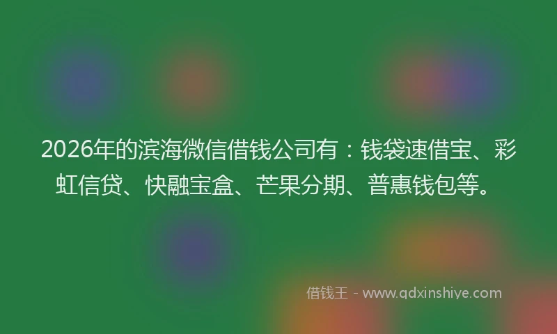 2026年的滨海微信借钱公司有：钱袋速借宝、彩虹信贷、快融宝盒、芒果分期、普惠钱包等。