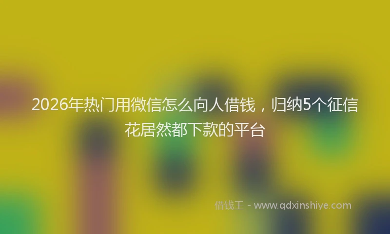 2026年热门用微信怎么向人借钱,归纳5个征信花居然都下款的平台