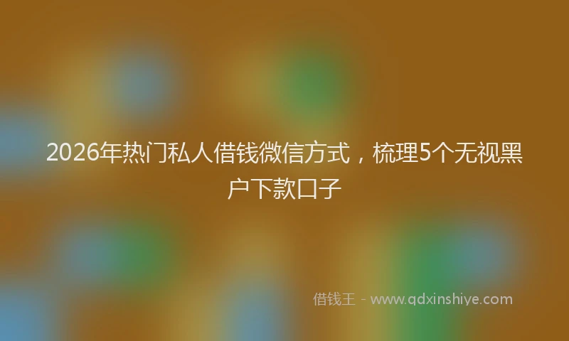 2026年热门私人借钱微信方式，梳理5个无视黑户下款口子